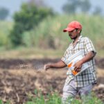 A farmer in Pune, India, sowing seeds in a sunlit agricultural field.