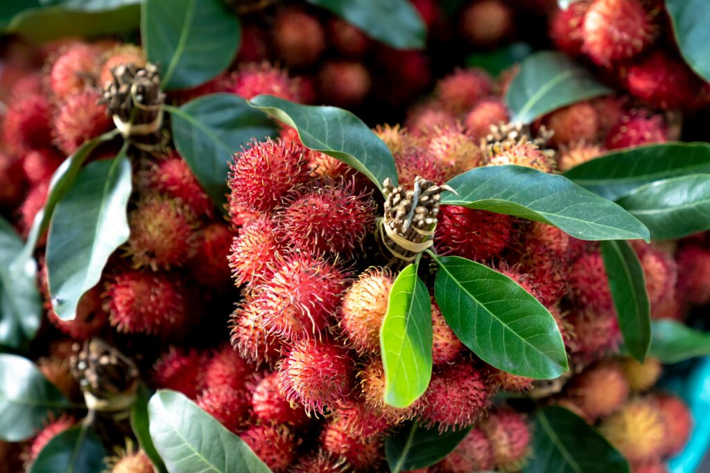 A colorful close-up of ripe rambutan fruit with vibrant red skin and green leaves, showcasing fresh tropical produce.